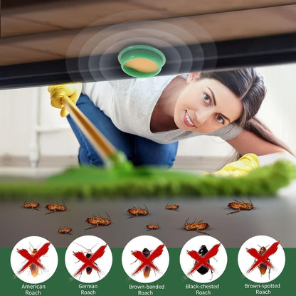 RoachZero® - Cockroach Killer Gel (Pack of 12)
